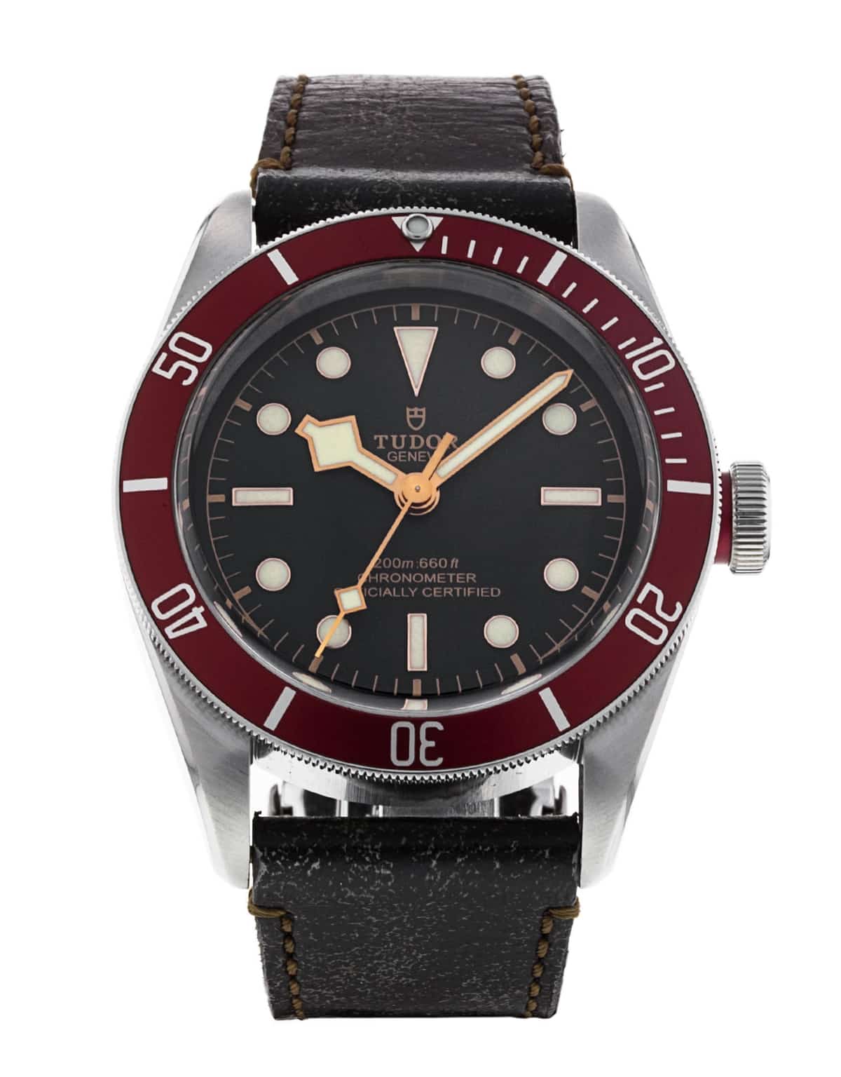 Tudor Black Bay M79230R-0011